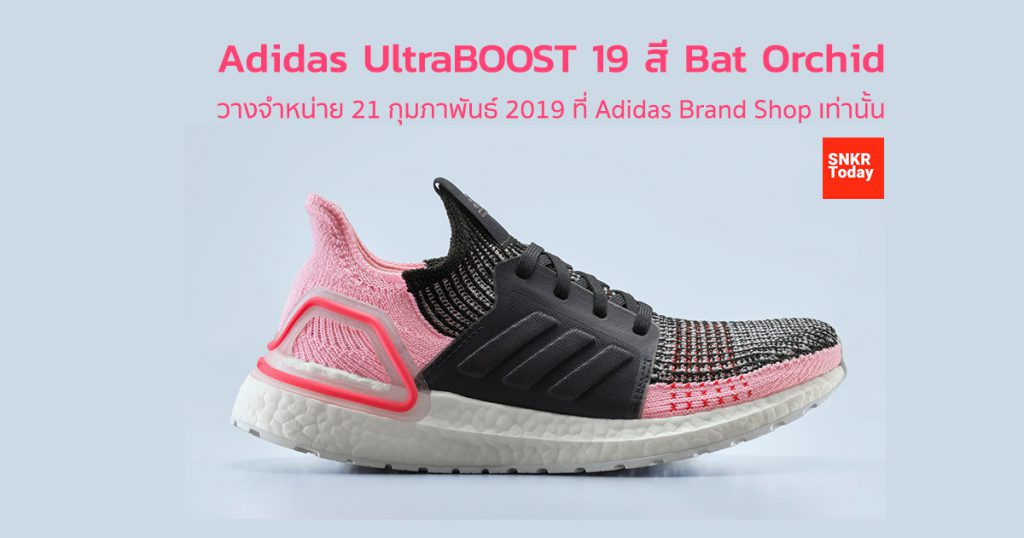Adidas UltraBOOST 19 "Bat Orchid"