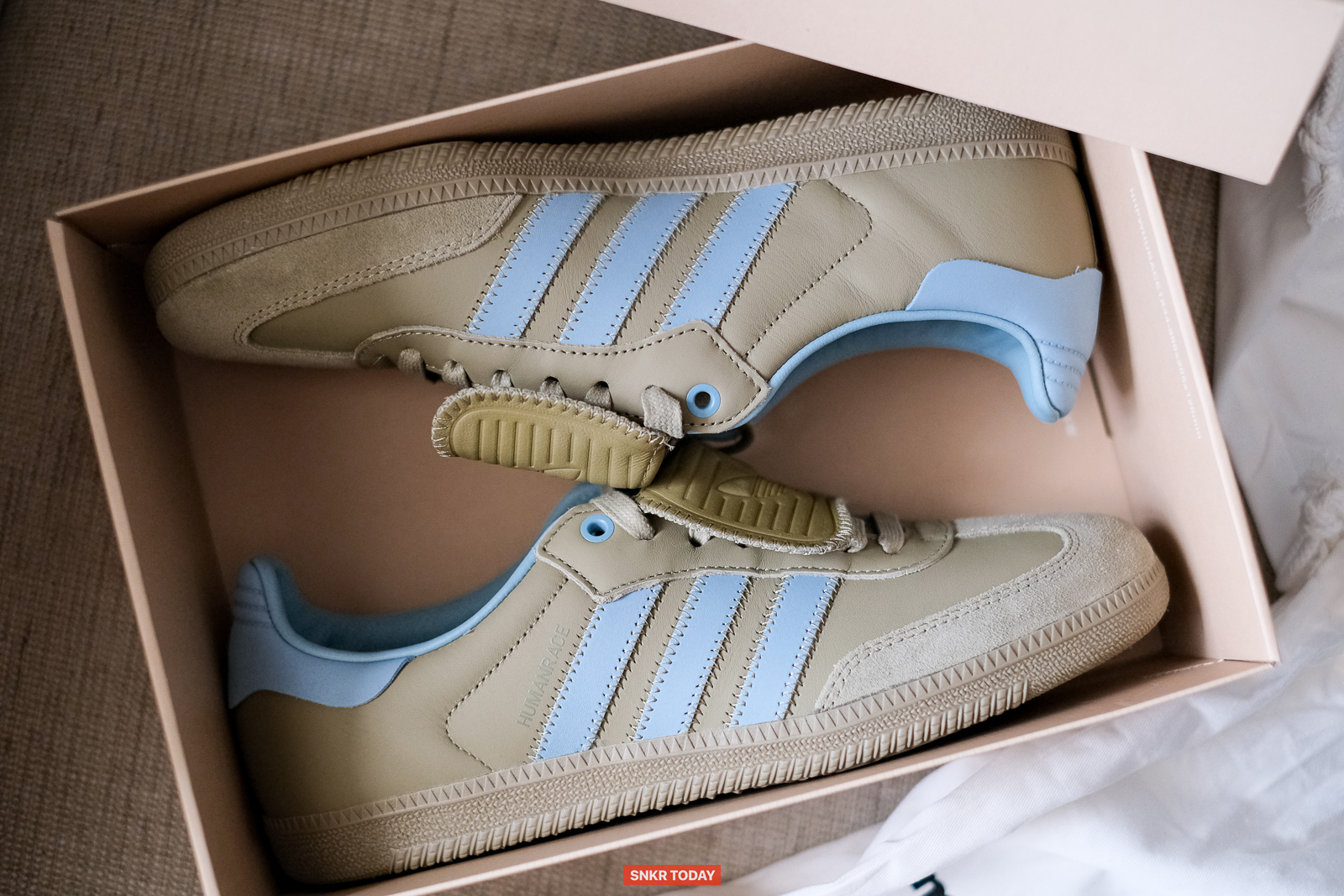 พาชม adidas Humanrace Samba By Pharrell รองเท้างานสุดเนี๊ยบ