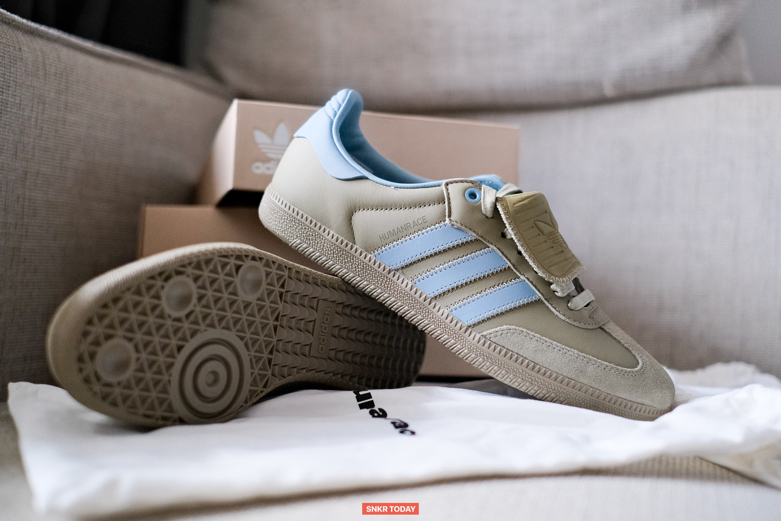 พาชม adidas Humanrace Samba By Pharrell รองเท้างานสุดเนี๊ยบ